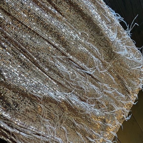 ANTONIO MELANI Rose Gold Sequin Feather Maxi Dress - Picture 4 of 6